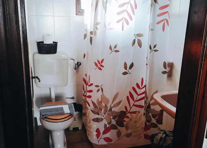 Rodavgi Paralia Sikias