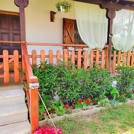 Apartment Rodavgi Paralia Sikias