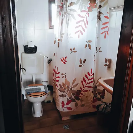 Rodavgi Paralia Sikias